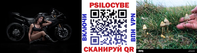 omg ТОР  Ивангород  Псилоцибиновые грибы ЛСД  купить наркоту 
